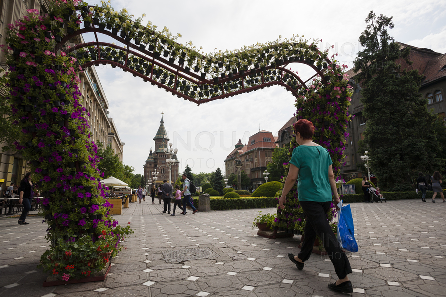 TIMISOARA