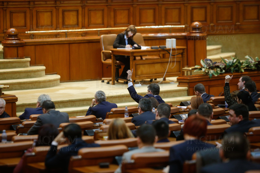 BUCURESTI - PARLAMENT - VOT CAMERA DEPUTATILOR - OUG 13