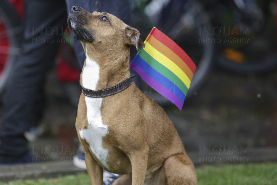 BUCURESTI - BUCHAREST PRIDE 2017