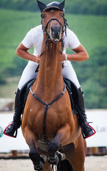 TURDA - SALINA EQUINES HORSE TROPHY