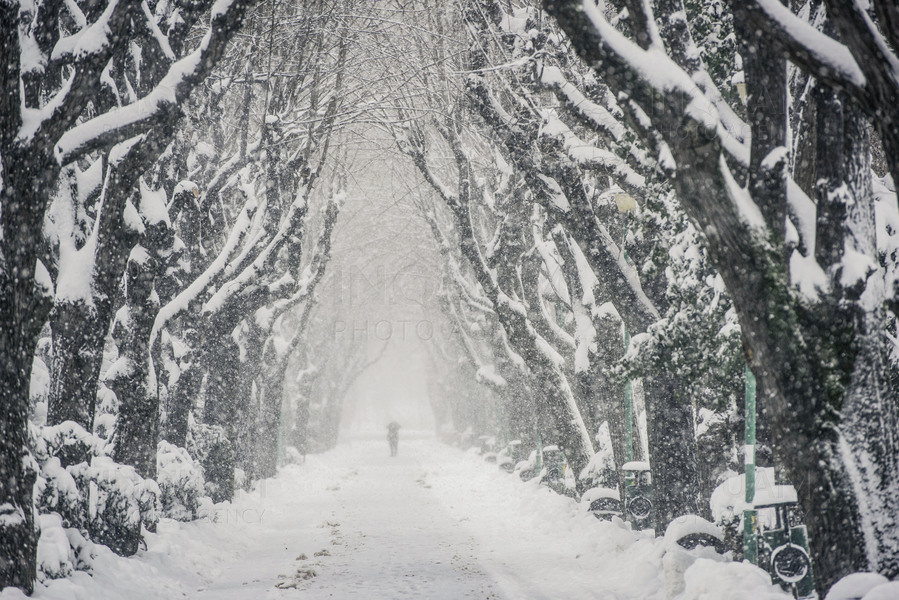 BUCURESTI - METEO - IARNA