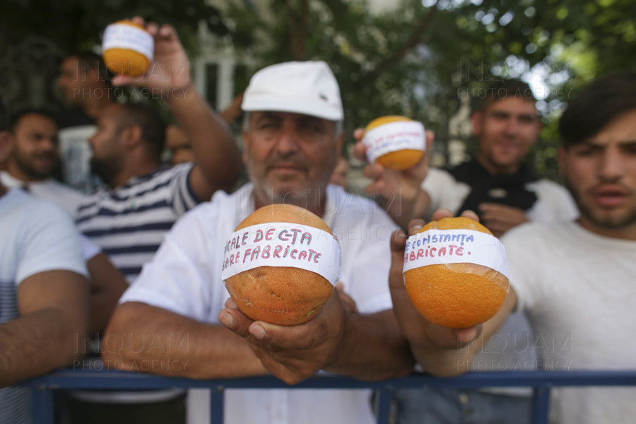 BUCURESTI - ICCJ - PROTEST - DOSAR CONSTANTA