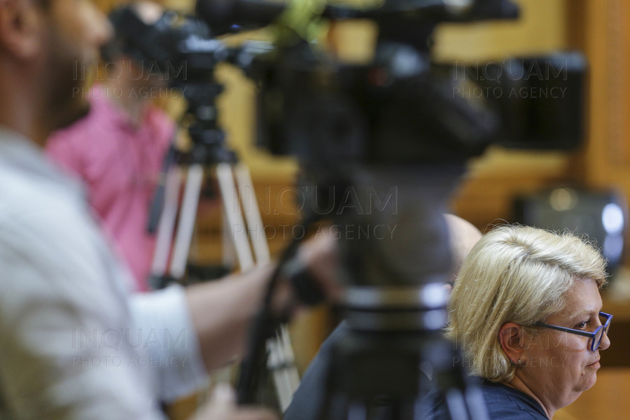 BUCURESTI - PARLAMENT - DOINA GRADEA - COMISIE CULTURA