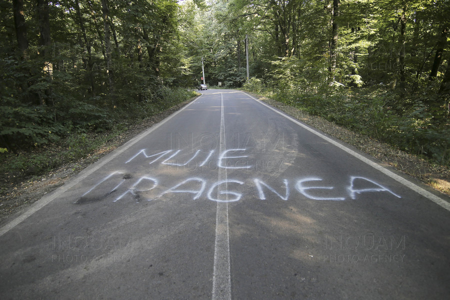 SNAGOV - PROTEST - NUNTA - VALENTIN DRAGNEA