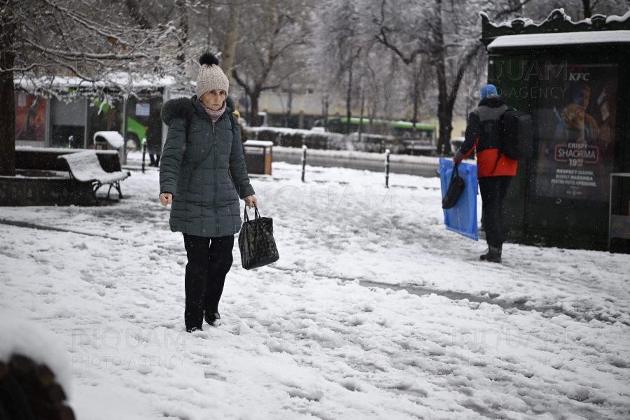 BRASOV - METEO - NINSOARE - 21 NOV 2024