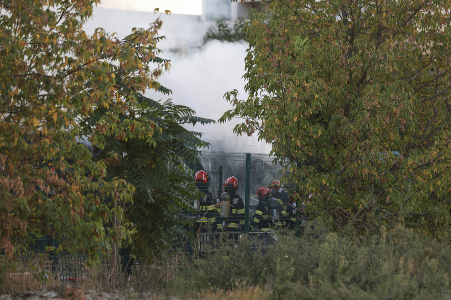 BUCURESTI - ALEEA LACUL MORII - INCENDIU CONTAINERE - 27 SEP 2024