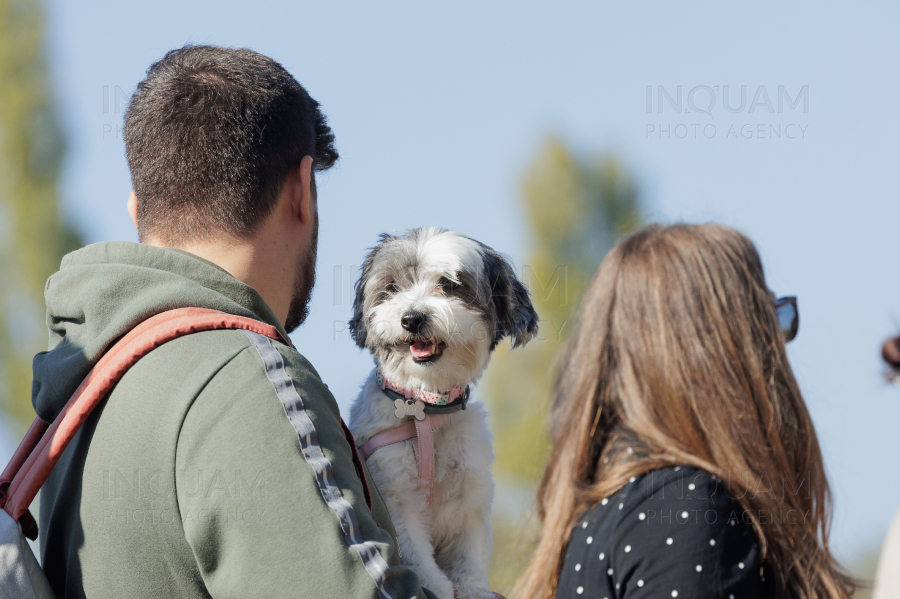 BUCURESTI - CONCURS CANIN - DOG SPEED RUN - 26 OCT 2024