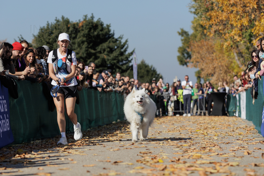 BUCURESTI - CONCURS CANIN - DOG SPEED RUN - 26 OCT 2024