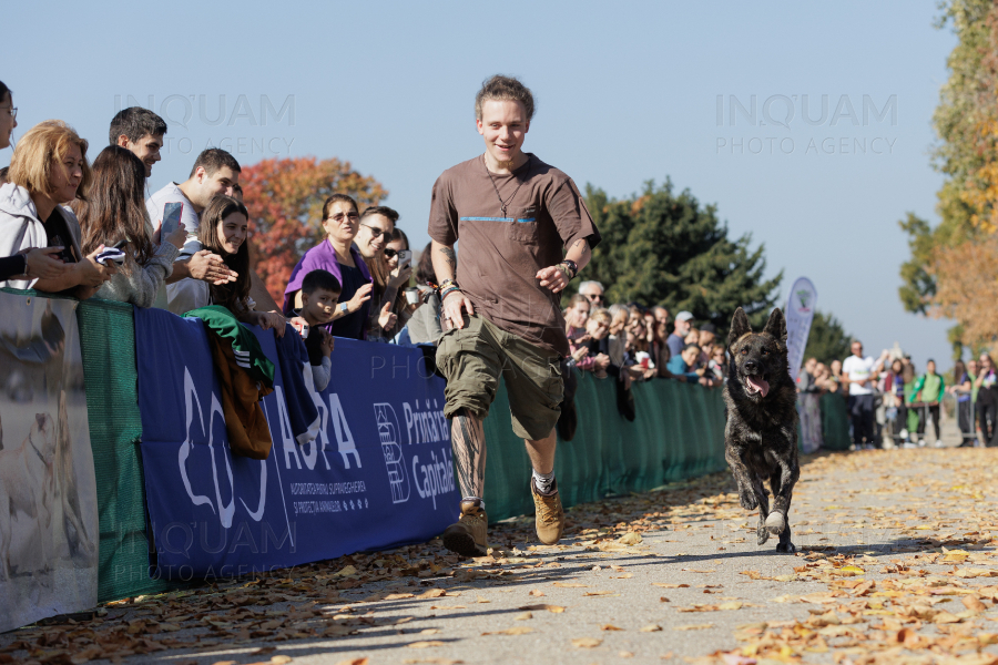 BUCURESTI - CONCURS CANIN - DOG SPEED RUN - 26 OCT 2024