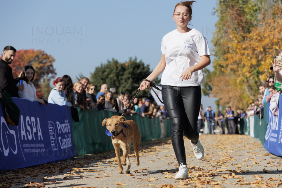 BUCURESTI - CONCURS CANIN - DOG SPEED RUN - 26 OCT 2024