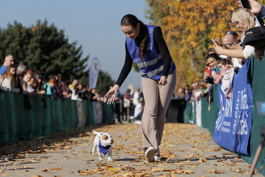 BUCURESTI - CONCURS CANIN - DOG SPEED RUN - 26 OCT 2024