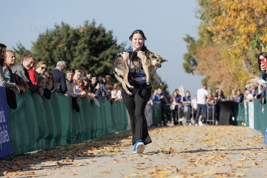 BUCURESTI - CONCURS CANIN - DOG SPEED RUN - 26 OCT 2024