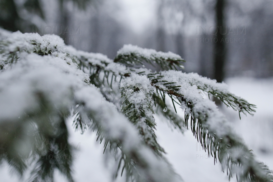 BUCURESTI - METEO - NINSOARE - 28 IAN 2023