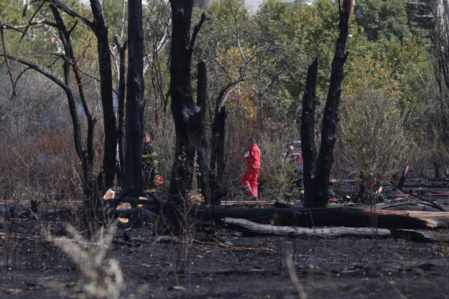 BUCURESTI - PARCUL IOR - INCENDIU DE VEGETATIE - 9 SEP 2024