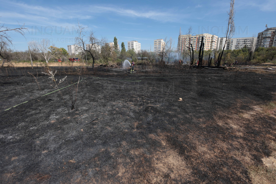 BUCURESTI - PARCUL IOR - INCENDIU DE VEGETATIE - 9 SEP 2024