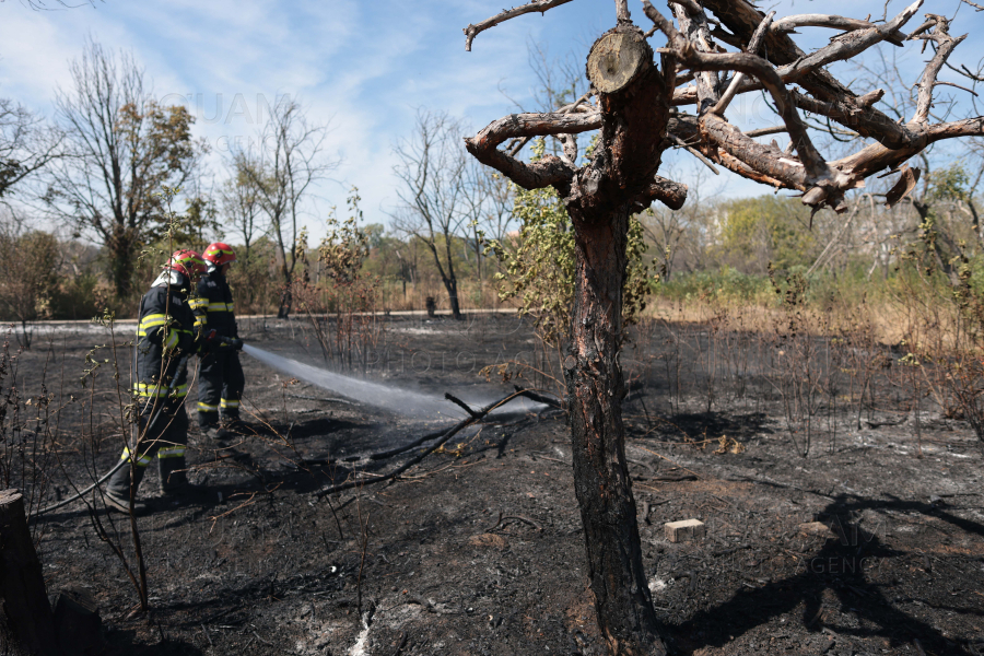 BUCURESTI - PARCUL IOR - INCENDIU DE VEGETATIE - 9 SEP 2024