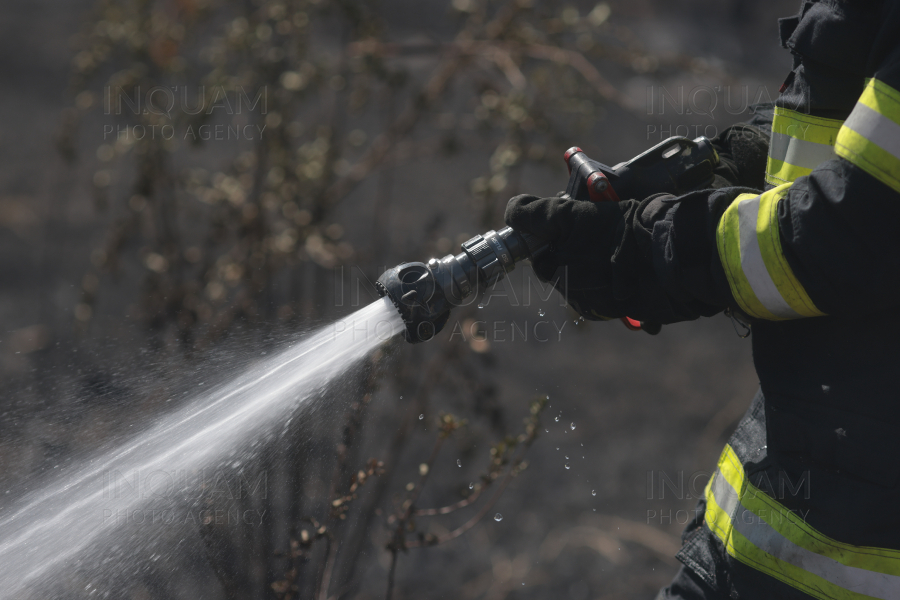 BUCURESTI - PARCUL IOR - INCENDIU DE VEGETATIE - 9 SEP 2024