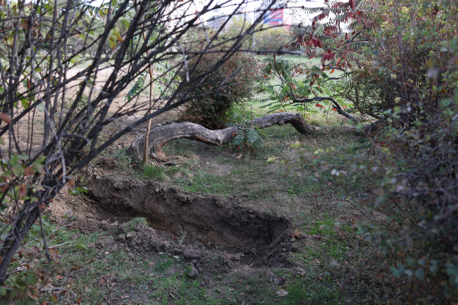 BUCURESTI - PARCUL PIETEI UNIRII - 15 OCT 2024