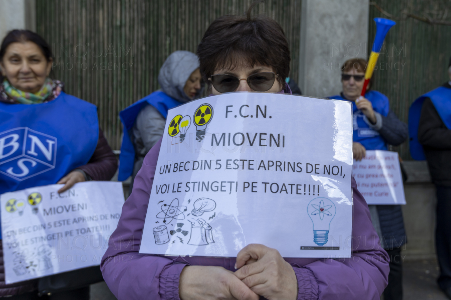 BUCURESTI - PROTEST - FEDERATIA SINDICATELOR ENERGETICA - 20 NOI 2024