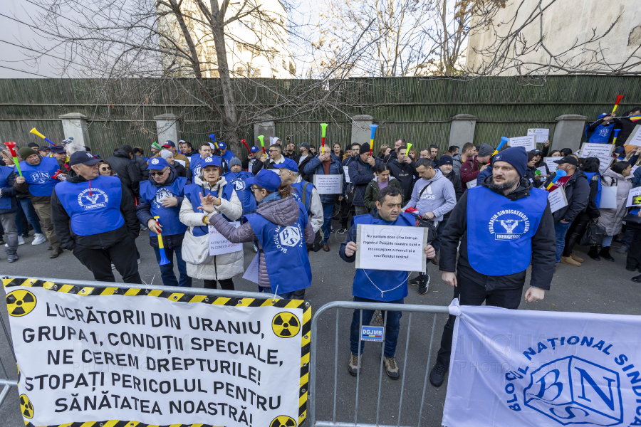 BUCURESTI - PROTEST - FEDERATIA SINDICATELOR ENERGETICA - 20 NOI 2024