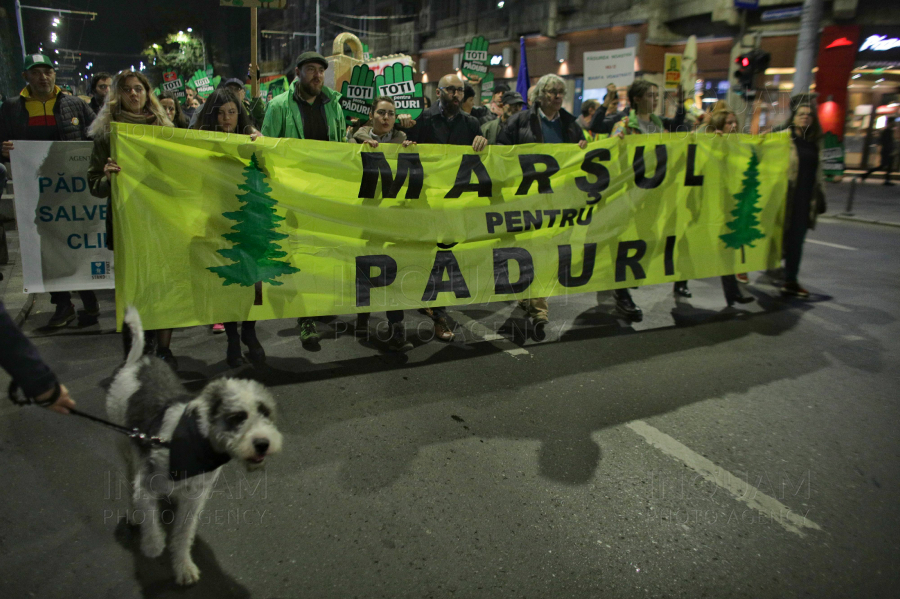 BUCURESTI - PROTEST - MARSUL PENTRU PADURI - 3 NOIEMBRIE 2019