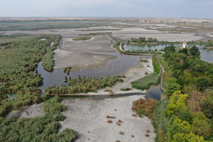 COMANA - DELTA NEAJLOVULUI - SECETA - 28 AUG 2024