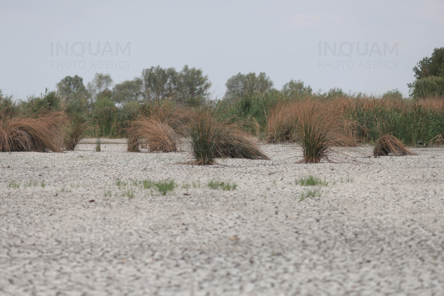 COMANA - DELTA NEAJLOVULUI - SECETA - 28 AUG 2024