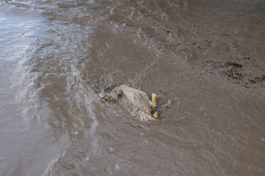 GALATI - SLOBOZIA CONACHI - INUNDATIE - 14 SEP 2024