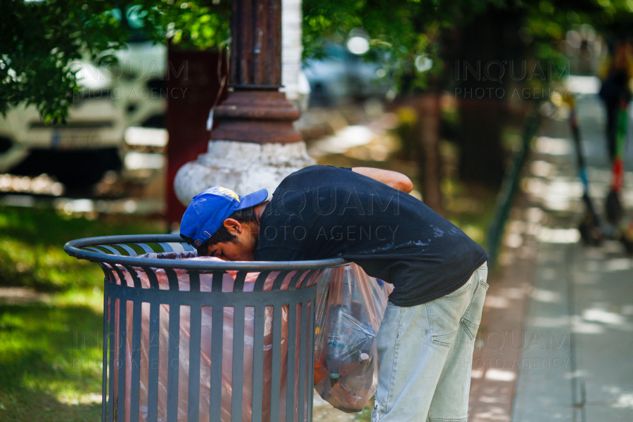 ILUSTRATIE - PETURI - RECICLARE - BUCURESTI - 08 AUG 2024