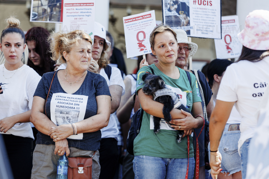 TG JIU - PROTEST - EUTANASIERE CAINI - 23 AUG 2024