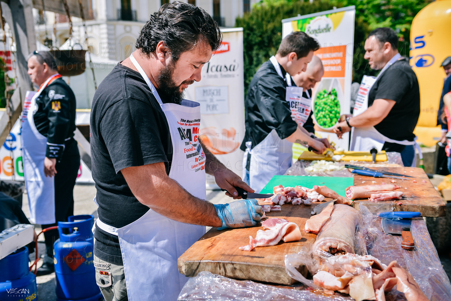 IASI - THE INTERNATIONAL OPEN AIR COOKING CHAMPIONSHIP